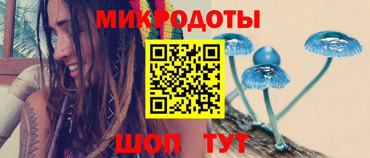 Барнаул  Галлюциногенные грибы прущие грибы  Вход с VPN 